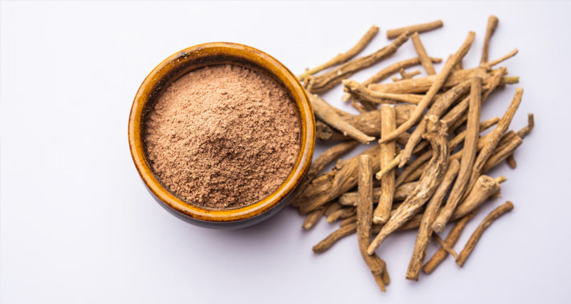 How you can elevate your daily routine with Ashwagandha KSM-66®